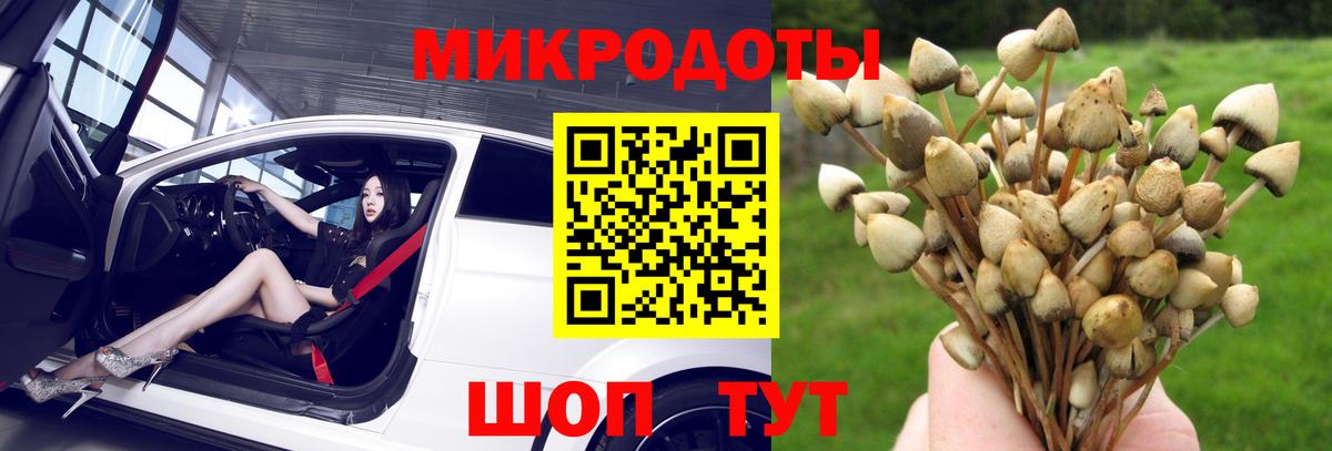 Артём  закладка  Вход с VPN  Галлюциногенные грибы Magic Shrooms 